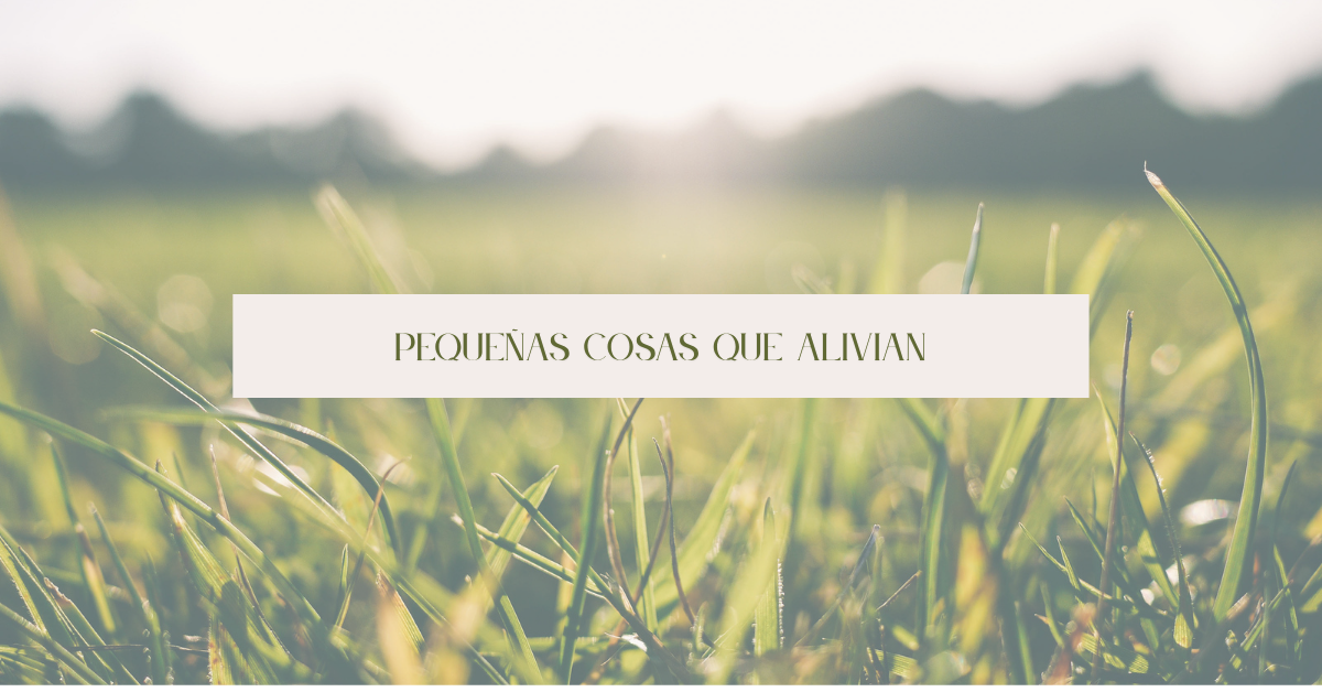 Pequeñas cosas que alivian