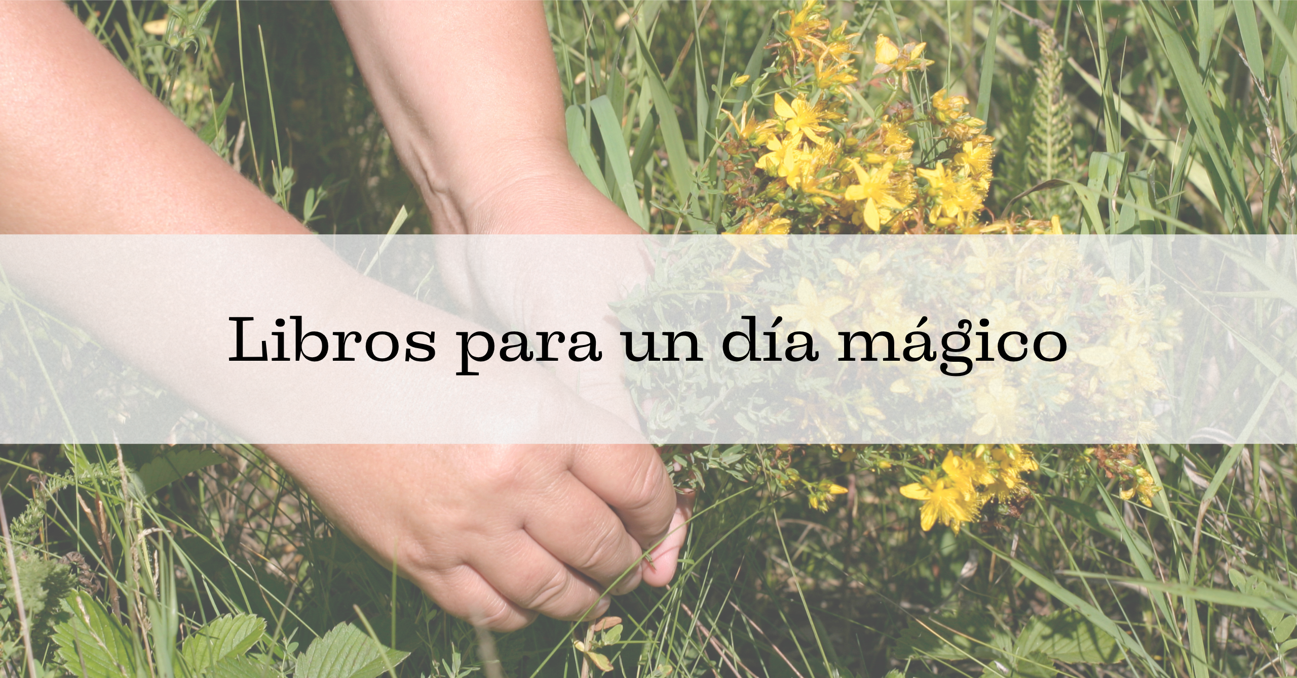 Libros para un día mágico